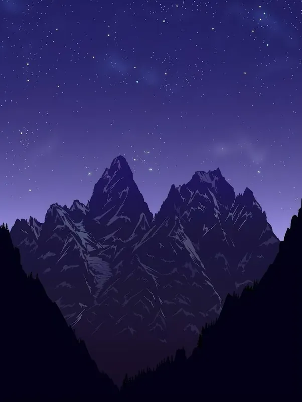 Secure Checkout Night Sky With Mountains