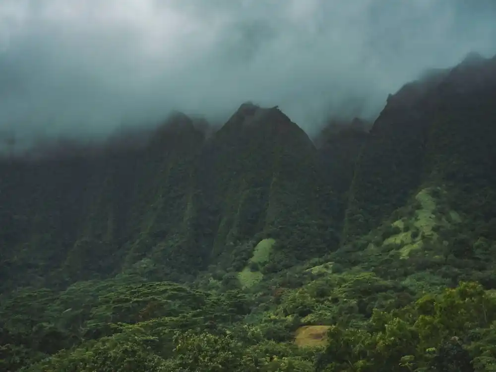 Hawaiian Landscape Trending