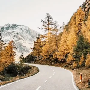 Warranty Included Autumn Mountain Highway