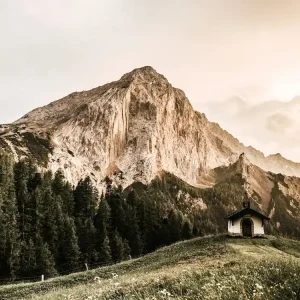 Wilderness Church Discount