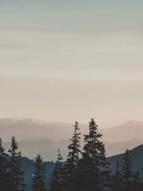 Luxury Misty Mountain Sunrise