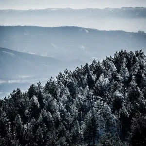 Winter In The Mountains Affordable