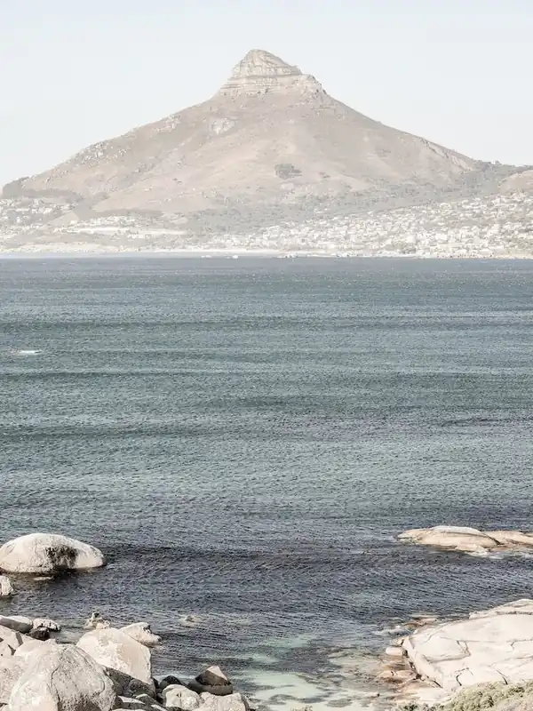 Lions Head Direct From Factory