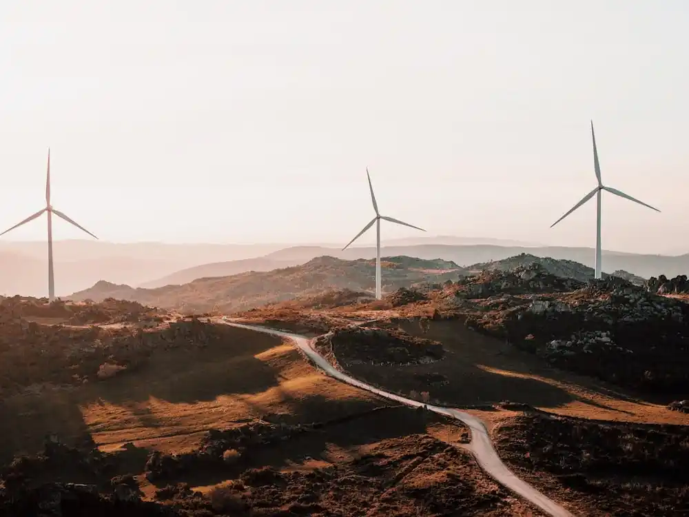 Windmill Field In California Best Seller