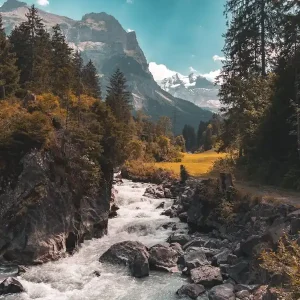Swiss Alps Time-Limited