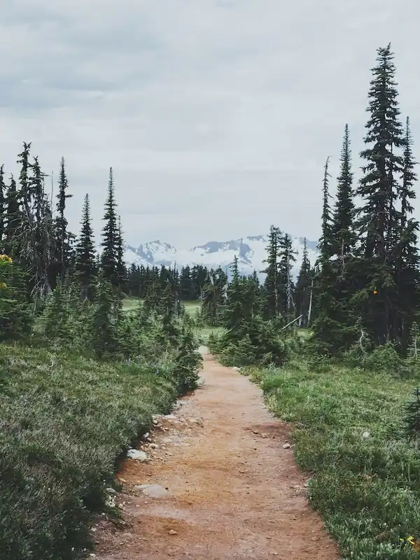 Garibaldi Park Bc VII Don’t Miss Out