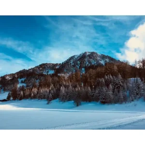Winter Landscape Viral