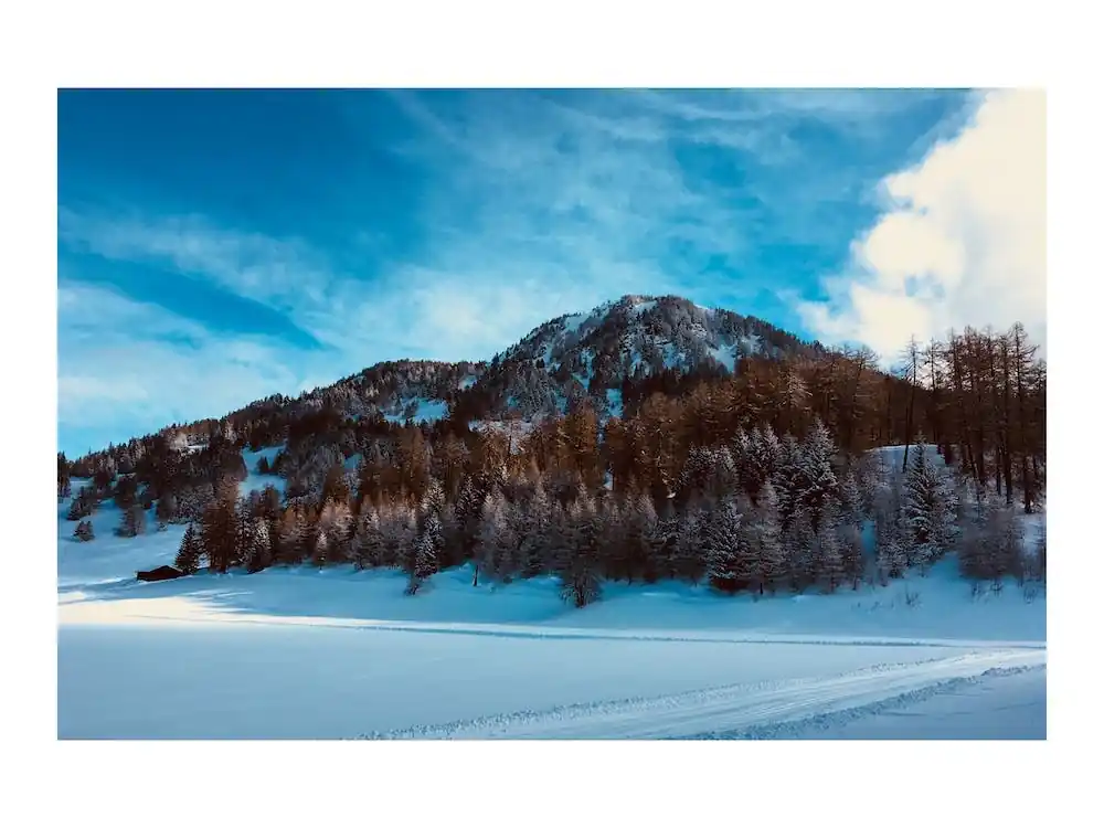 Winter Landscape Viral