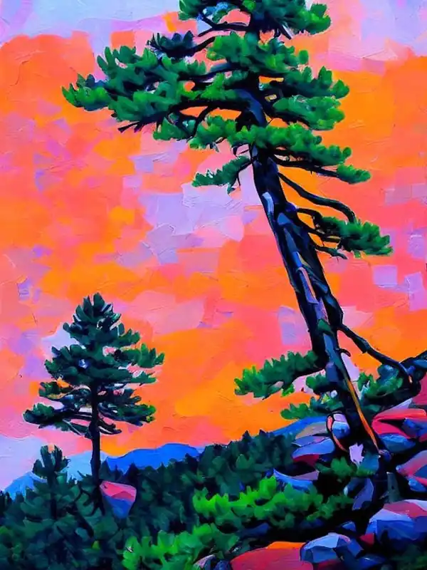 Rocky Mountain Juniper Tree Cubist 2 While Supplies Last
