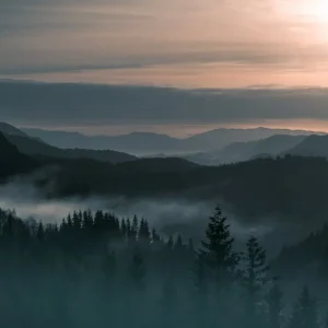 Sunrise In The Mountains Bulk Order