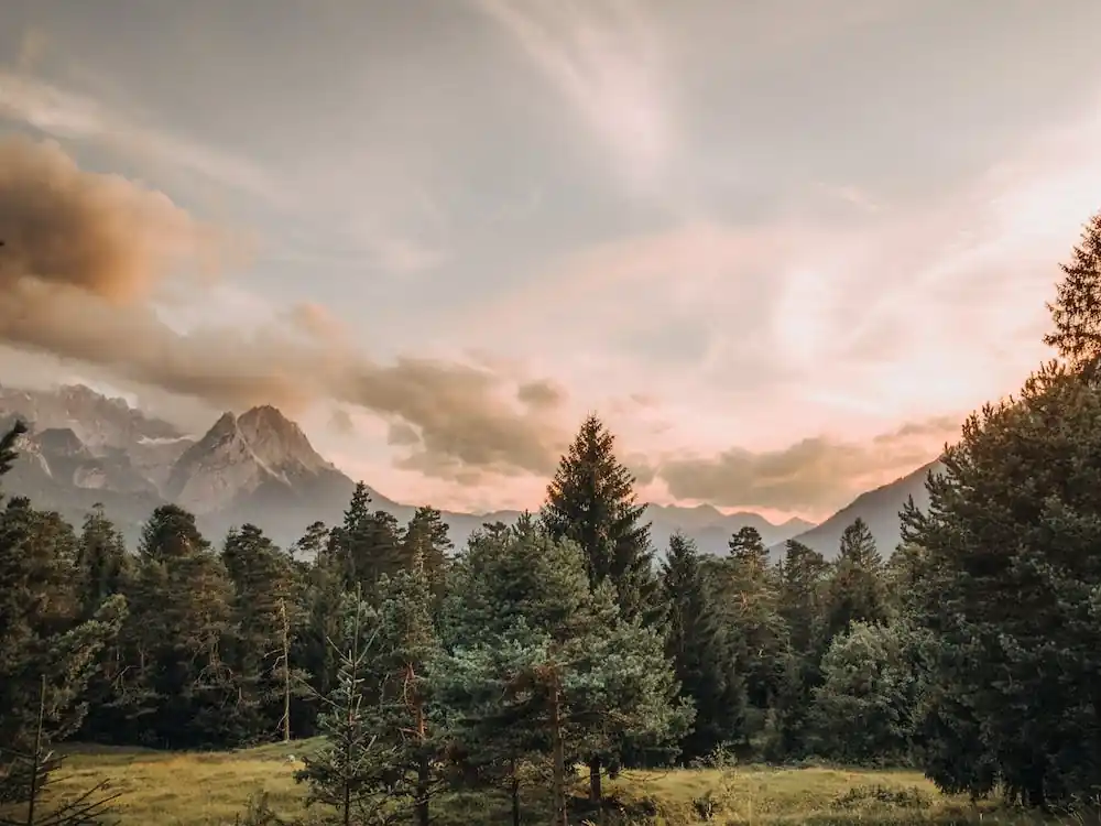 Forest Sunset Sky High Quality