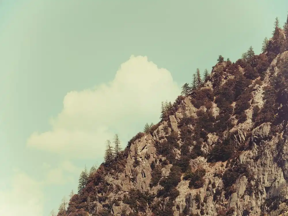 Up the Mountains Order Now