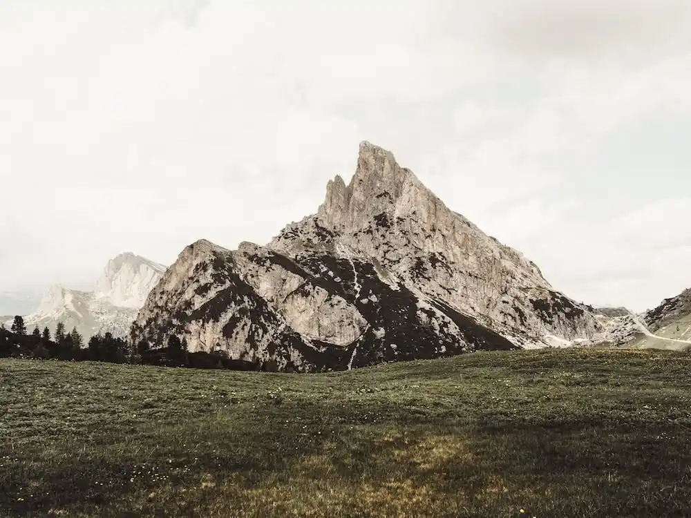 Grassy Meadow Mountain Warranty Included