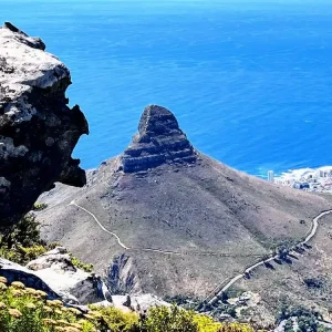 Table Mountain (Africa Series) 1 Free Shipping