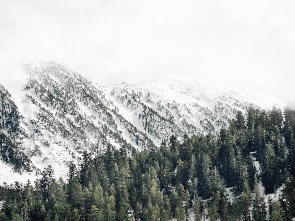 Price Drop Colorado Winter Mountains