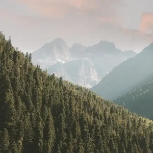 Warranty Included Majestic Mountain Views