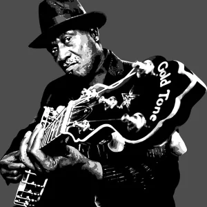 Taj Mahal American Blues Musician Legend Limited Offer